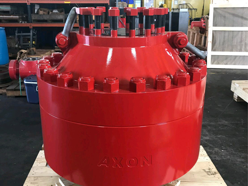 Blue_barrel_reference_new_build_axon_type_51